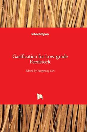 Gasification for Low-grade Feedstock de Yongseung Yun