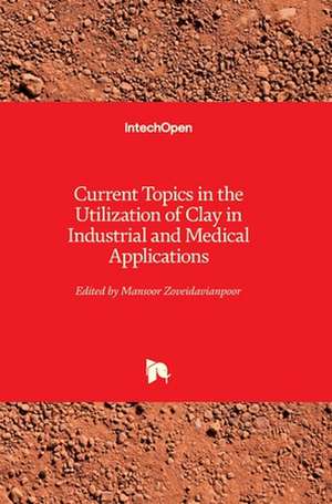 Current Topics in the Utilization of Clay in Industrial and Medical Applications de Mansoor Zoveidavianpoor