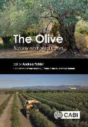Olive de Andrea Fabbri