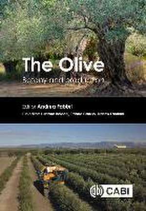 The Olive de Andrea Fabbri