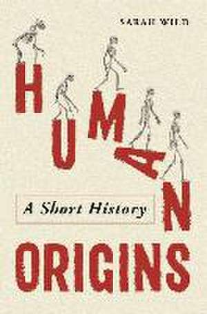 Human Origins de Sarah Wild