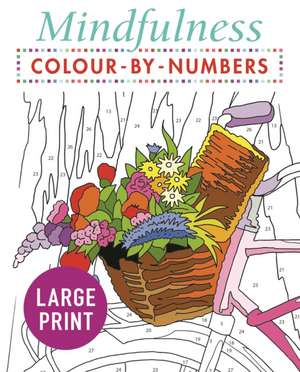 Mindfulness Colour-by-Numbers Large Print de Arcturus Publishing