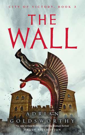 The Wall de Adrian Goldsworthy