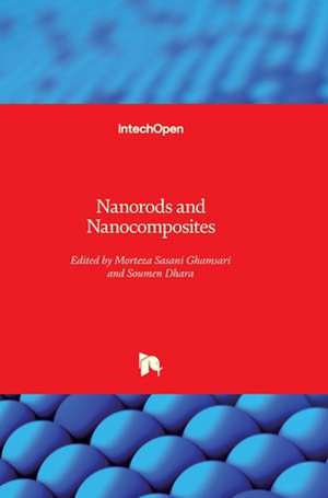 Nanorods and Nanocomposites de Morteza Sasani Ghamsari