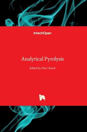 Analytical Pyrolysis de Peter Kusch