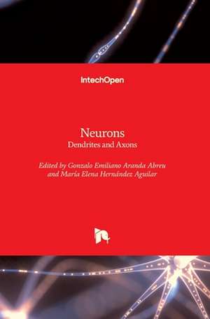 Neurons de Gonzalo Emiliano Aranda Abreu
