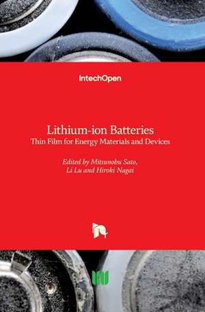 Lithium-ion Batteries de Mitsunobu Sato