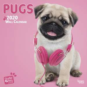 Pugs 2020 Mini Wall Calendar de BROWNTROUT UK