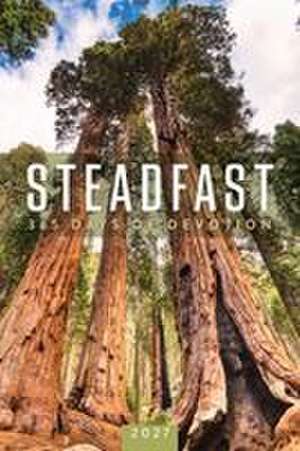 Steadfast 2027 de Abingdon Press