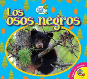 Los Osos Negros de Heather Kissock