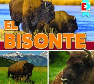 El Bisonte (Bison) de Maria Koran