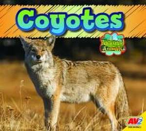 Coyote de Jordan McGill