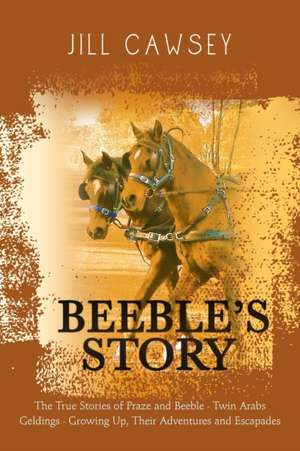 Beeble's Story de Jill Cawsey