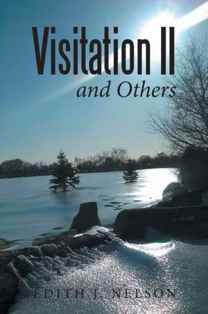 Visitation Ii and Others de Edith J. Nelson