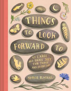 Things to Look Forward To de Sophie Blackall