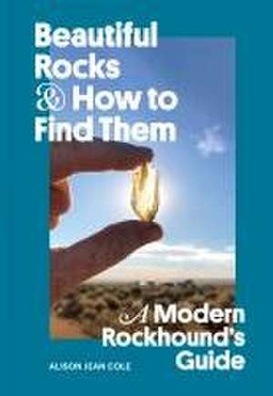 Beautiful Rocks and How to Find Them de Alison Jean Cole