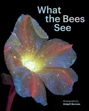 What the Bees See de Craig P. Burrows