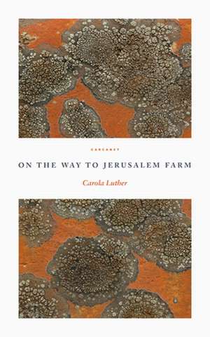 ON THE WAY TO JERUSALEM FARM de Carola Luther