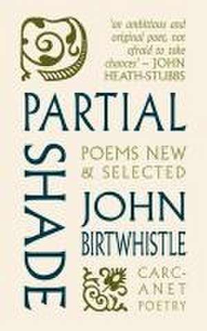 Partial Shade de John Birtwhistle