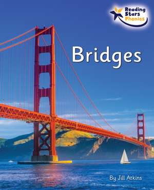 Bridges de Jill Atkins