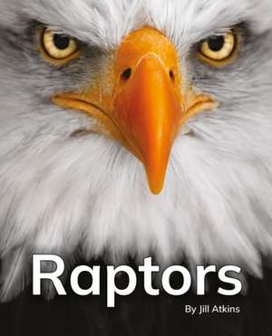 Raptors