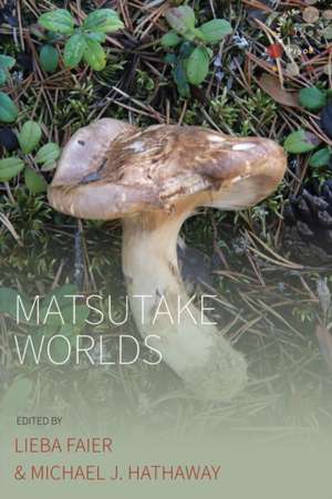 FAIER, L: MATSUTAKE WORLDS