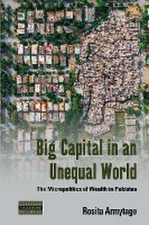 Big Capital in an Unequal World de Rosita Armytage