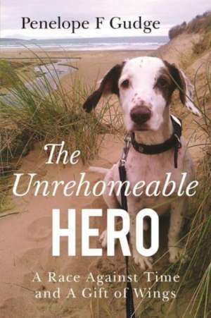 The Unrehomeable Hero, A Race Against Time & A Gift of Wings de Penelope F. Gudge