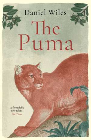The Puma de Daniel Wiles