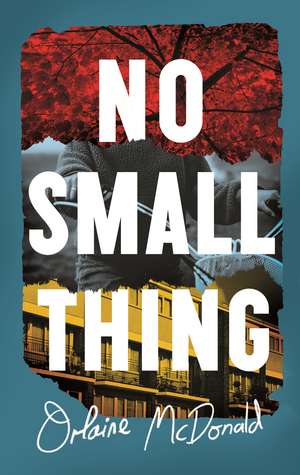 No Small Thing de Orlaine McDonald