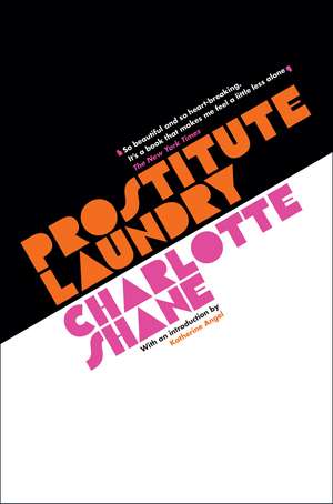 Prostitute Laundry de Charlotte Shane