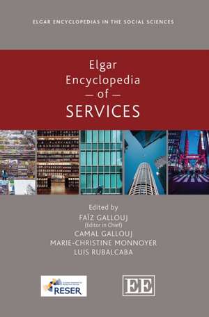 Elgar Encyclopedia of Services de Faïz Gallouj