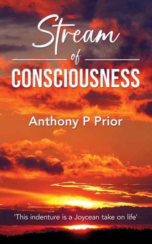 Stream of Consciousness de Anthony P Prior