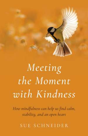 Meeting the Moment with Kindness – How mindfulness can help us find calm, stability, and an open heart de Sue Schneider