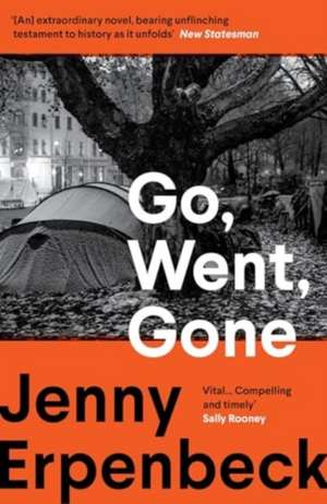 Go, Went, Gone de Jenny Erpenbeck