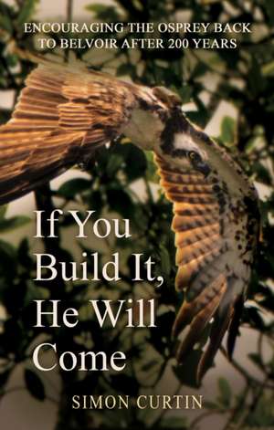 If You Build It, He Will Come de Simon Curtin