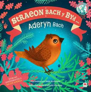 Aderyn Bach, Yr / Little Bird, The (Cyfres Straeon Bach y Byd) de DK