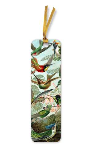 Ernst Haeckel: Hummingbirds Bookmarks (pack of 10) de Flame Tree Studio