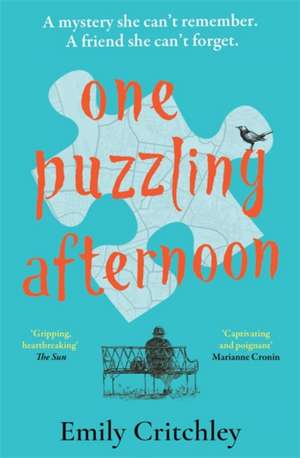 One Puzzling Afternoon de Emily Critchley