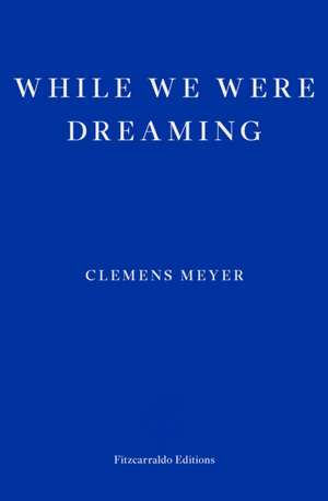 While We Were Dreaming de Clemens Meyer