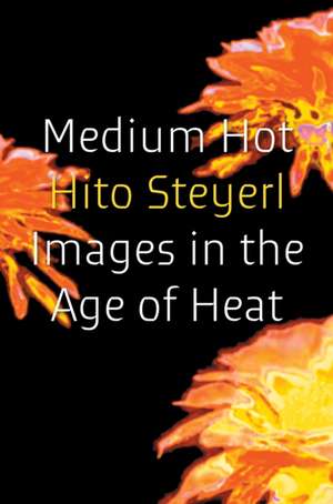 Medium Hot de Hito Steyerl