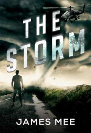 The Storm de James Mee