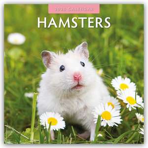 Hamsters - Hamster 2025 - 16-Monatskalender de Robin Red