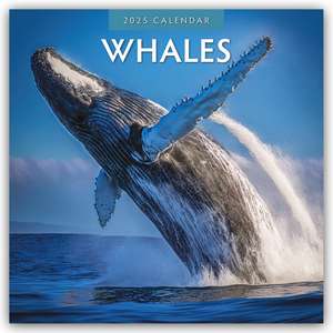 Whales - Wale 2025 - 16-Monatskalender de Robin Red