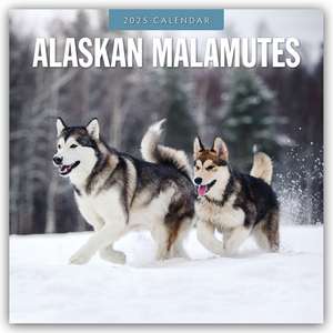 Alaskan Malamutes - Alaskischer Malamute 2025 - 16-Monatskalender de Robin Red