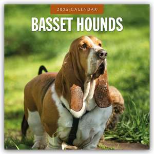 Basset Hounds - Basset Hound 2025 - 16-Monatskalender de Robin Red