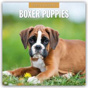 Boxer Puppies - Deutsche Boxer Welpen 2025 - 16-Monatskalender de Robin Red