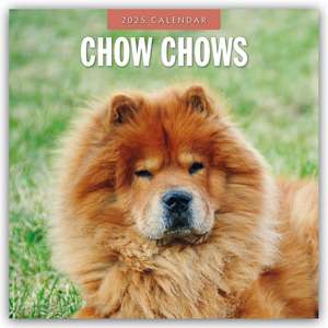 Chow Chows - Chow Chow 2025 - 16-Monatskalender de Robin Red