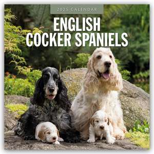 English Cocker Spaniels - Englisch Cocker Spaniel 2025 - 16-Monatskalender de Robin Red