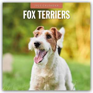 Fox Terriers - Foxterrier 2025 - 16-Monatskalender de Robin Red